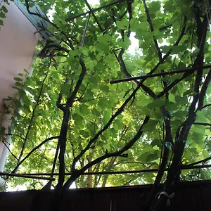  Хостел Old